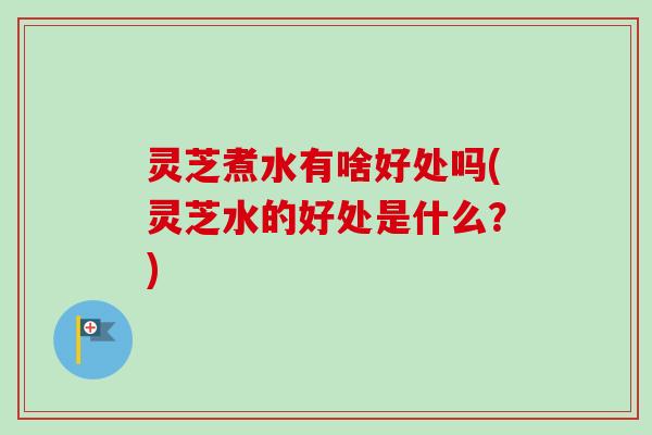灵芝煮水有啥好处吗(灵芝水的好处是什么？)