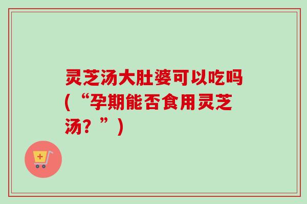 灵芝汤大肚婆可以吃吗(“孕期能否食用灵芝汤？”)