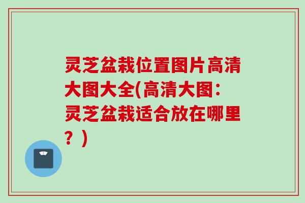 灵芝盆栽位置图片高清大图大全(高清大图：灵芝盆栽适合放在哪里？)