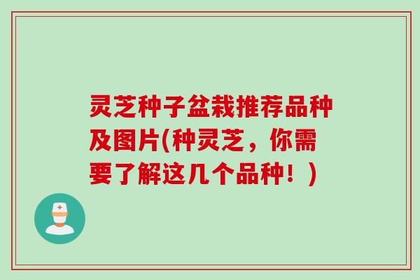 灵芝种子盆栽推荐品种及图片(种灵芝，你需要了解这几个品种！)