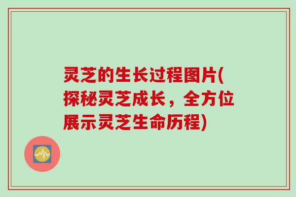 灵芝的生长过程图片(探秘灵芝成长，全方位展示灵芝生命历程)