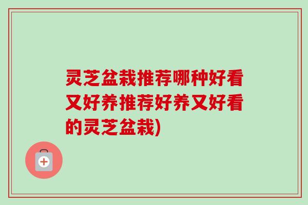 灵芝盆栽推荐哪种好看又好养推荐好养又好看的灵芝盆栽)