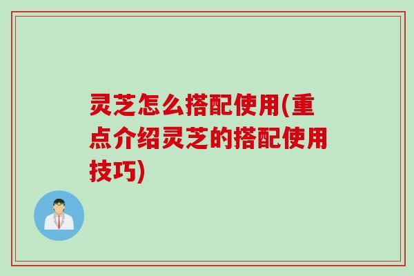 灵芝怎么搭配使用(重点介绍灵芝的搭配使用技巧)