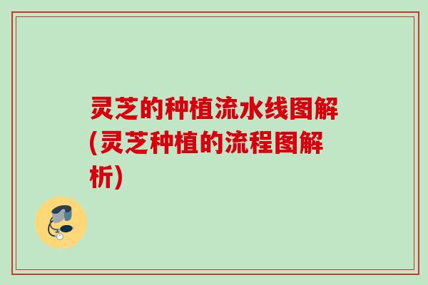 灵芝的种植流水线图解(灵芝种植的流程图解析) 灵芝的种植流水线图解(灵芝种植的流程图解析)