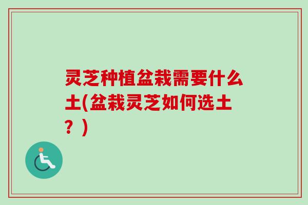 灵芝种植盆栽需要什么土(盆栽灵芝如何选土？)