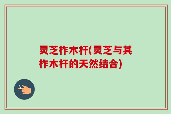 灵芝柞木杆(灵芝与其柞木杆的天然结合)