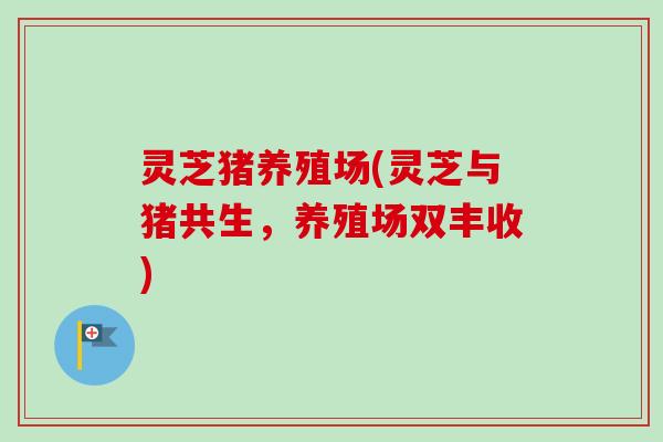 灵芝猪养殖场(灵芝与猪共生，养殖场双丰收)