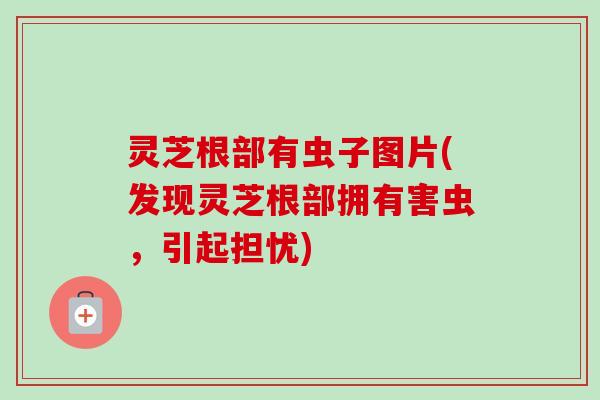 灵芝根部有虫子图片(发现灵芝根部拥有害虫，引起担忧)