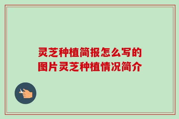 灵芝种植简报怎么写的图片灵芝种植情况简介