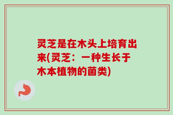 灵芝是在木头上培育出来(灵芝：一种生长于木本植物的菌类)