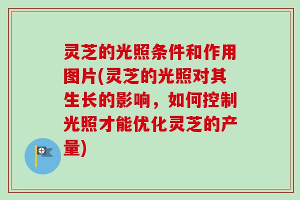 灵芝的光照条件和作用图片(灵芝的光照对其生长的影响，如何控制光照才能优化灵芝的产量)