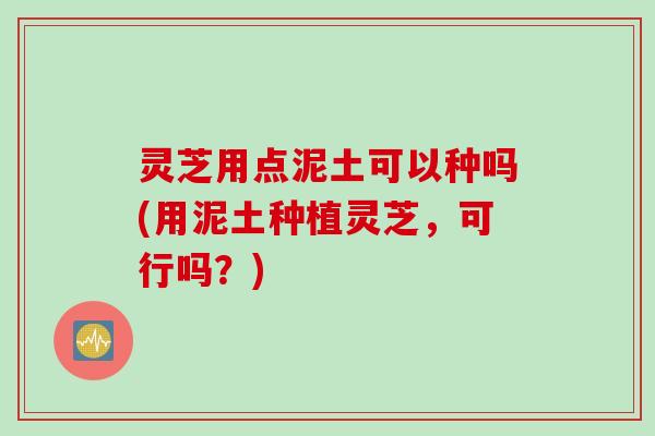 灵芝用点泥土可以种吗(用泥土种植灵芝，可行吗？)