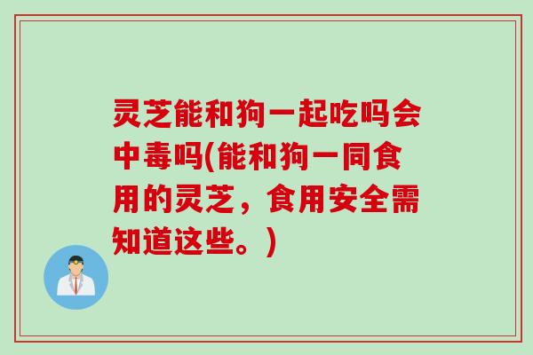 灵芝能和狗一起吃吗会中毒吗(能和狗一同食用的灵芝，食用安全需知道这些。)