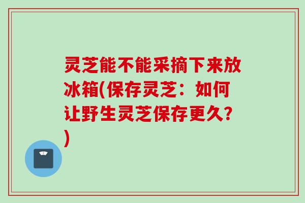灵芝能不能采摘下来放冰箱(保存灵芝：如何让野生灵芝保存更久？)