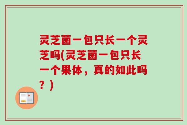 灵芝菌一包只长一个灵芝吗(灵芝菌一包只长一个果体,真的如此吗?) 灵芝菌一包只长一个灵芝吗(灵芝菌一包只长一个果体,真的如此吗?)