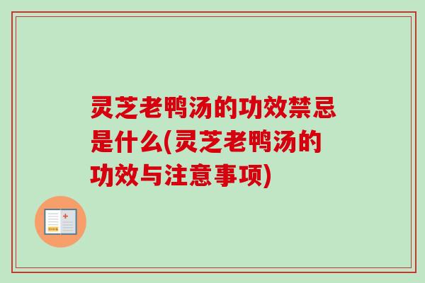 灵芝老鸭汤的功效禁忌是什么(灵芝老鸭汤的功效与注意事项)