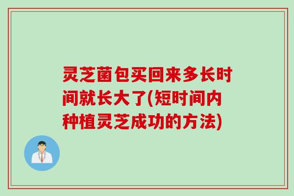 灵芝菌包买回来多长时间就长大了(短时间内种植灵芝成功的方法)