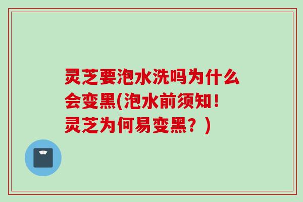 灵芝要泡水洗吗为什么会变黑(泡水前须知！灵芝为何易变黑？)