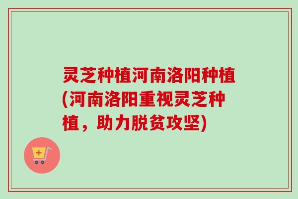 灵芝种植河南洛阳种植(河南洛阳重视灵芝种植，助力脱贫攻坚)