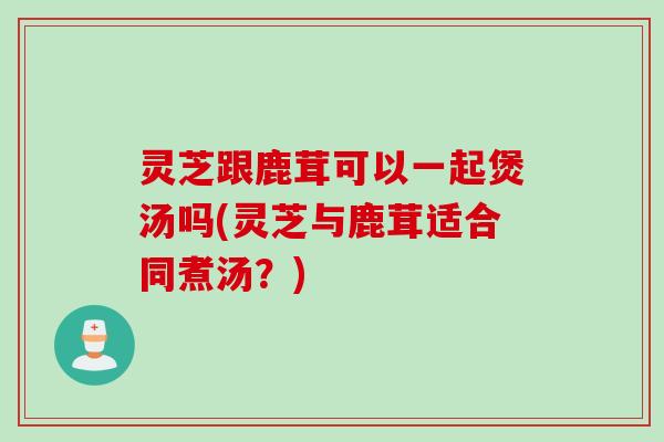灵芝跟鹿茸可以一起煲汤吗(灵芝与鹿茸适合同煮汤？)