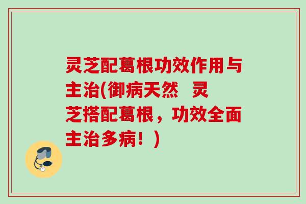 灵芝配葛根功效作用与主治(御病天然  灵芝搭配葛根，功效全面主治多病！)