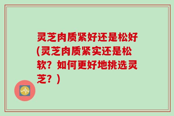 灵芝肉质紧好还是松好(灵芝肉质紧实还是松软？如何更好地挑选灵芝？)