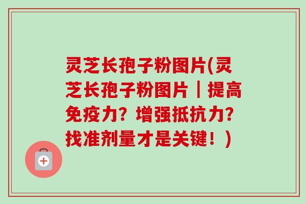 灵芝长孢子粉图片(灵芝长孢子粉图片｜提高免疫力？增强抵抗力？找准剂量才是关键！)