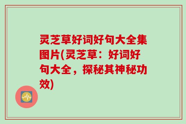 灵芝草好词好句大全集图片(灵芝草：好词好句大全，探秘其神秘功效)