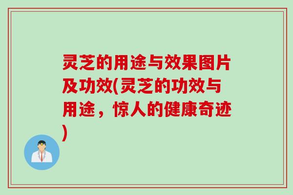 灵芝的用途与效果图片及功效(灵芝的功效与用途，惊人的健康奇迹)