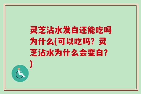 灵芝沾水发白还能吃吗为什么(可以吃吗？灵芝沾水为什么会变白？)