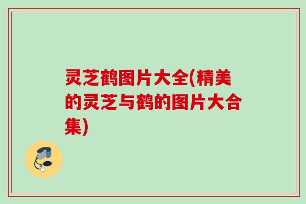灵芝鹤图片大全(精美的灵芝与鹤的图片大合集)