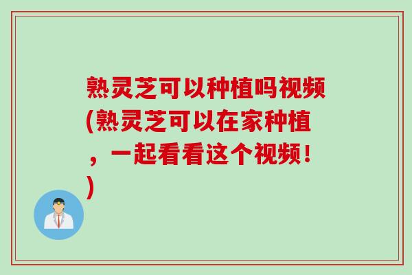 熟灵芝可以种植吗视频(熟灵芝可以在家种植，一起看看这个视频！)