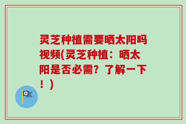 灵芝种植需要晒太阳吗视频(灵芝种植：晒太阳是否必需？了解一下！)
