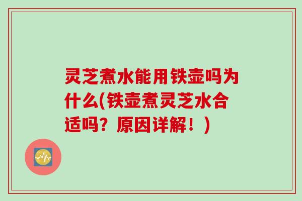 灵芝煮水能用铁壶吗为什么(铁壶煮灵芝水合适吗？原因详解！)
