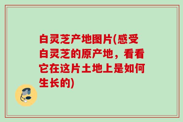 白灵芝产地图片(感受白灵芝的原产地，看看它在这片土地上是如何生长的)