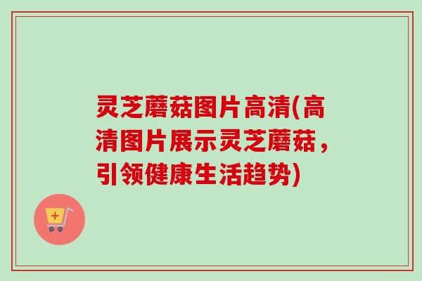 灵芝蘑菇图片高清(高清图片展示灵芝蘑菇，引领健康生活趋势)