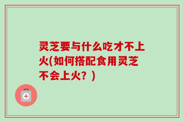 灵芝要与什么吃才不上火(如何搭配食用灵芝不会上火？)