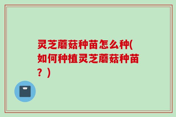 灵芝蘑菇种苗怎么种(如何种植灵芝蘑菇种苗？)