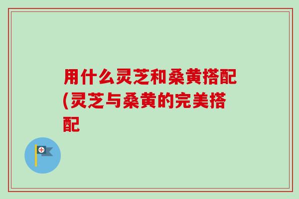 用什么灵芝和桑黄搭配(灵芝与桑黄的完美搭配