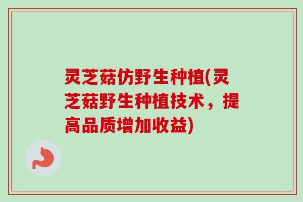 灵芝菇仿野生种植(灵芝菇野生种植技术，提高品质增加收益)