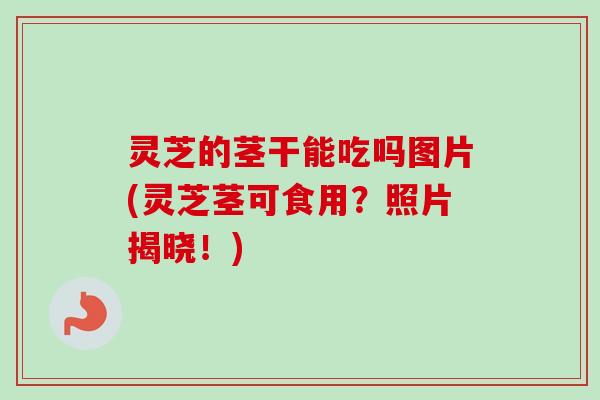 灵芝的茎干能吃吗图片(灵芝茎可食用？照片揭晓！)