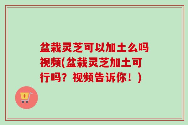 盆栽灵芝可以加土么吗视频(盆栽灵芝加土可行吗?视频告诉你!) 盆栽灵芝可以加土么吗视频(盆栽灵芝加土可行吗?视频告诉你!)