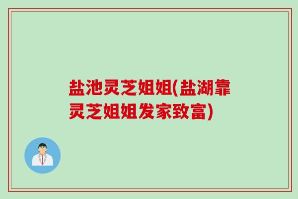 盐池灵芝姐姐(盐湖靠灵芝姐姐发家致富)