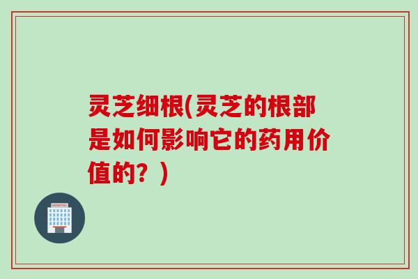 灵芝细根(灵芝的根部是如何影响它的药用价值的？)