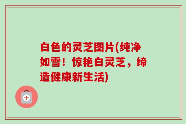 白色的灵芝图片(纯净如雪！惊艳白灵芝，缔造健康新生活)