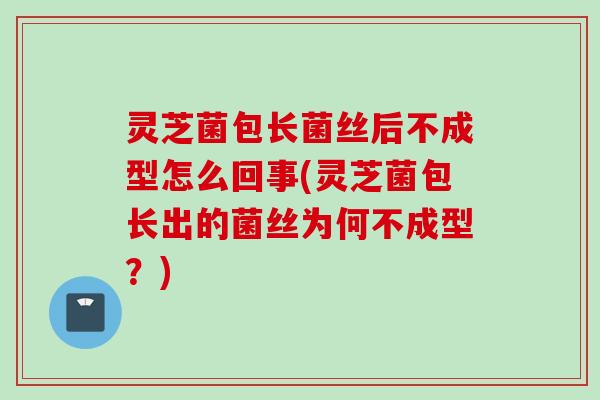 灵芝菌包长菌丝后不成型怎么回事(灵芝菌包长出的菌丝为何不成型?) 灵芝菌包长菌丝后不成型怎么回事(灵芝菌包长出的菌丝为何不成型?)