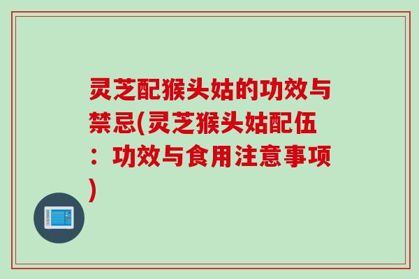 灵芝配猴头姑的功效与禁忌(灵芝猴头姑配伍：功效与食用注意事项)