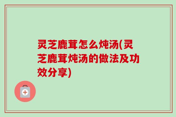 灵芝鹿茸怎么炖汤(灵芝鹿茸炖汤的做法及功效分享)