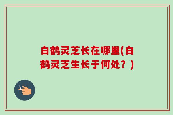 白鹤灵芝长在哪里(白鹤灵芝生长于何处？)