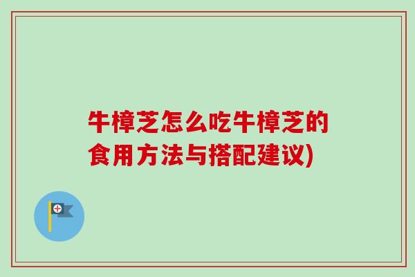 牛樟芝怎么吃牛樟芝的食用方法与搭配建议)